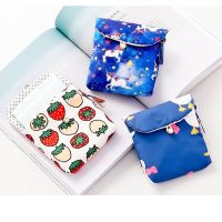 Sanitary Napkin Storage Bag Crazy Grab Today Key Fresh Style Cute Coin Purse Large Capacity Girl Aunt Preferred Home Department Store