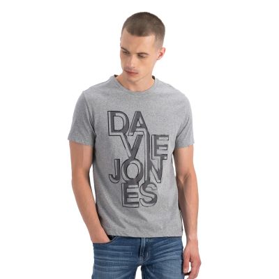 DSL001 เสื้อยืดผู้ชาย DAVIE JONES เสื้อยืดพิมพ์ลายโลโก้ สีเทา Logo Print T-Shirt in grey LG0008TD เสื้อผู้ชายเท่ๆ เสื้อผู้ชายวัยรุ่น