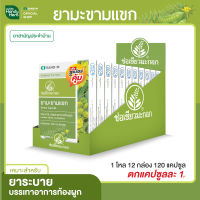 Handyherb (ช่อเขียวมะกอก) มะขามแขก  (1 โหล 12 แผง) สมุนไพรแก้ท้องผูก ช่วยกระตุ้นการขับถ่าย แก้ท้องผูก ระบายท้อง