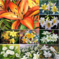 New 5D DIY Diamond Painting Lily Flower Diamond Embroidery Scenery Rhinestones Full Square Round Drill Craft Home Decor Art Gift