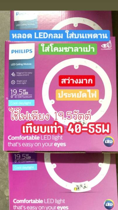 ถูกที่สุด-philips-หลอดไฟกลม-led-19-5w-ไฟเพดาน-หลอดไฟกลม-หลอดซาลาเปา-ของแท้จากบริษัท