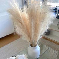 45cm 1Pc Artificial Pampas Grass Bouquet New Year Holiday Wedding Party Home Decoration Plant Simulation Fake Flower Reed Artificial Flowers  Plants