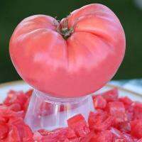 เมล็ดพันธุ์ มะเขือเทศยักษ์ เบลเยียม (Giant Pink Belgium Tomato Seed)บรรจุ 20 เมล็ด คุณภาพดี ของแท้ 100%