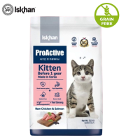 Iskhan Cat Proactive Kitten อีสคาน แคท โปรแอคทีฟ คิดเท่น