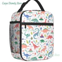 Dinosaur Cartoon Print Insulated Lunch Bag for Women Leakproof Thermal Cooler Bento Box Kids School Children