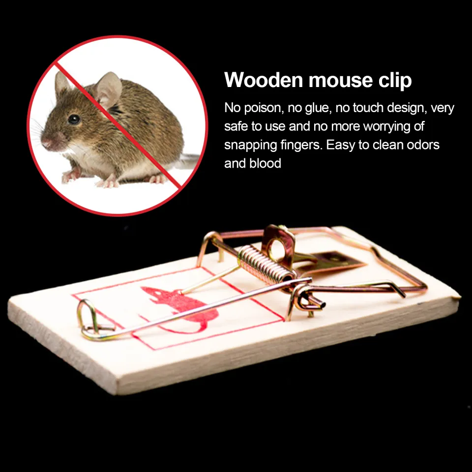 Mouse Traps, Indoor Small Size, Fast Effective, Hygienic And Safe