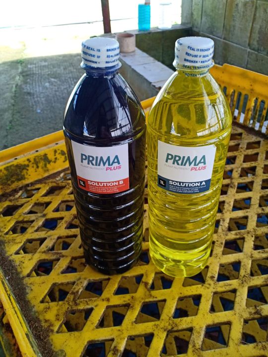 Prima Plus Nutrient Solution 1L | Lazada PH