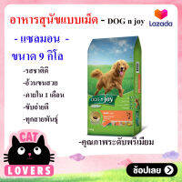 [1ถุง] DOGN JOY สูตรแซลมอน 9 กิโล ด็อกเอ็นจอย อาหารสุนัขแบบเม็ด สุนัขโต ทุกสายพันธุ์