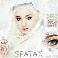 Spatax Gray มินิ สีเทา เทา สายฝอ ตาฝรั่ง โทนฝรั่ง Sweety Plus  Contact Lens Bigeyes คอนแทคเลนส์ ค่าสายตา สายตาสั้น