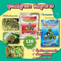 ชุดแม่ลูกดกพ่อลูกสวย 120 บาท