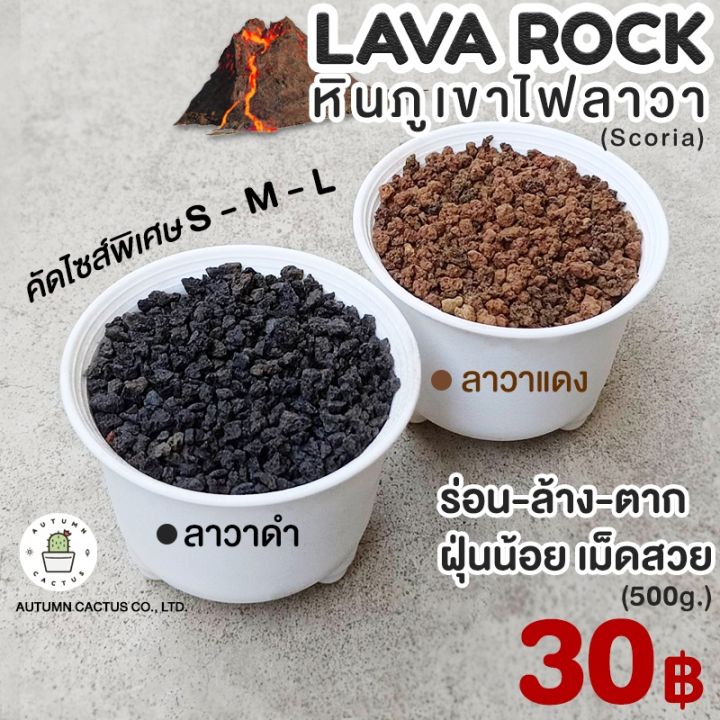 lava-rock-หินภูเขาไฟลาวา-หินภูเขาไฟ-ลาวาดำ-ลาวาแดง-มวลหนักใช้โรยหน้า-ผสมดิน-บรรจุ-500กรัม