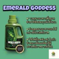 [พร้อมส่ง]⭐⭐Emerald Harvest Emerald Goddess วิตามินเสริมพลัง คีเลตเสริมการดูดซึมจัดส่งฟรีมีเก็บปลายทาง