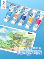 【STOCK】 Netherlands Terrence Van Gogh Watercolor Pigment Tube 10ml Van Gogh Watercolor Pigment Single Solid Watercolor Imported Watercolor Can Do Watercolor Packing Pigment New Color Professional Watercolor Intrusion Color