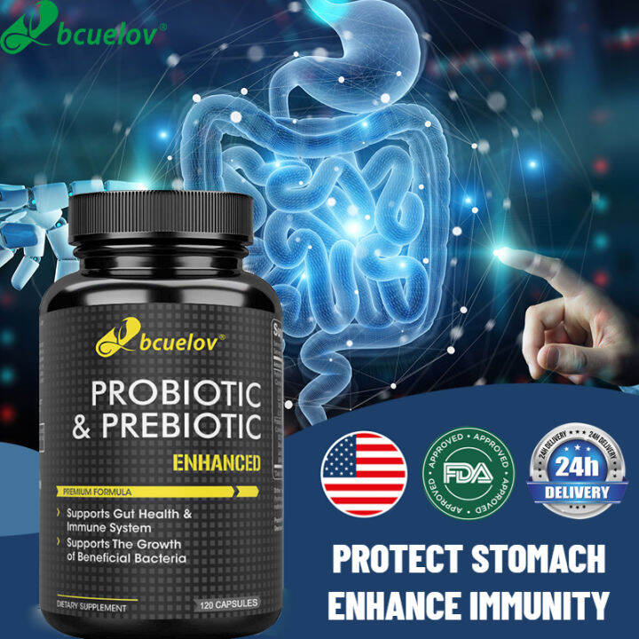 Probiotic & Prebiotic Plus - Advanced Digestive Gut Health & Enzyme ...