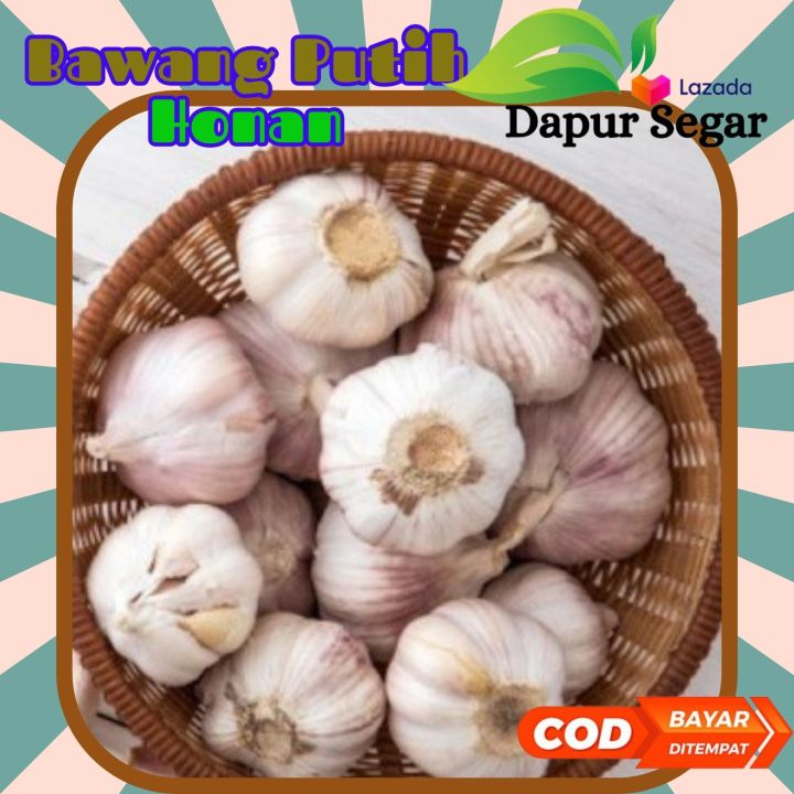 Bawang Putih Kotor Honan Baru Panen 500gr 1kg Lazada Indonesia