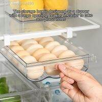 เครื่องโลฟเฟอร์ Recrecipiente De Armazenamento Ovo Transparente Gaveta Geladeira Pull-Out Vegetais Reutveis Bandeja Ararmário