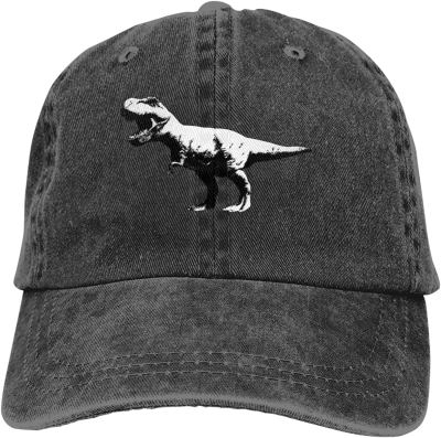 Bdhjydb Dinosaur Baseball Cap Dad Hat Low Profile Ponytail Hats for Women Men