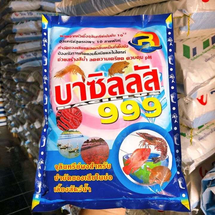 จุลินทรีย์-999-จุลินทรีย์ผงสำหรับบำบัดน้ำเสียในบ่อเลี้ยงสัตว์น้ำ-ช่วยสร้างสีน้ำ-ลดความเครียด-ควบคุม-ph-ผลิตจากหัวเชื้อจุลินทรีย์