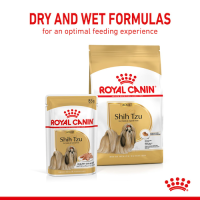 Royal Canin Shih Tzu Adult สุนัขโต พันธุ์ชิห์สุ อายุ 10 เดือนขึ้นไป