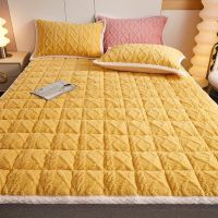 [COD] Class A winter warm milk fleece plus velvet non-slip protection pad dormitory single soft mat