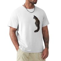 Majestic Catto Floof T-Shirt Sweat Shirts Funny T Shirts T Shirts For Men Graphic