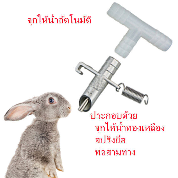 ซื้อ10แถม1-จุกให้น้ำอัตโนมัติ-จุกนํ้าหนูพุก-จุกให้น้ำหนูนา-จุกน้ำให้หนู-จุกน้ำให้กระต่ายแสตนเลส-หัวจุกน้ำหนูนา