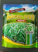 เมล็ดผักบุ้ง ไผ่ทอง 999 ขนาด1 kg ผักบุ้ง ใบไผ่ SEEDLINE กอแน่น ต้นตรง ใบสวย ความงอก90%