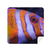 Marine Organism Tropical Fish Animal Glasses Cloth Screen Cleaner Suede Fabric 2 Pack Lens Cleaners