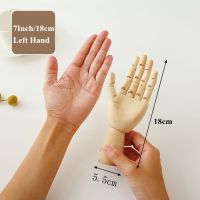 18cm Left Hand Vilead Wooden Hand Figurines Rotatable Painted Model Drawing Sketch Mannequin Miniatures Office Home Desktop Room ​Decoration