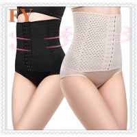 FY-COD Waist Trimmer body shaper slim shaper waist trainer