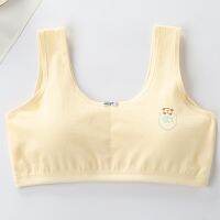 9-18 Y Kids training Cotton Developing Girls Breathable Student Underwear