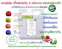 บิวเวอร์เรีย+เมธาไรเซียม +พาซิโลมัยซิส+บีที+ฮอร์โมนทางใบ ชนิดน้ำ พร้อมใช้ กำจัดไข่แมลง ตัวแมลง หนอนศัตรูพืช 100%ชีวภาพ