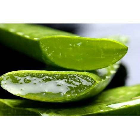 ลิปอโลเวร่า-99-ลิปว่านหางจระเข้-aac-aloe-vera-ราคาต่อแท่ง