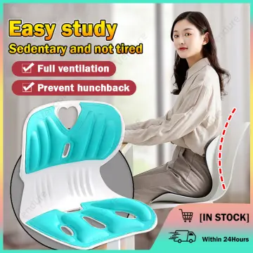 Posture Corrector Chair Ergonomic Back Lumbar Hip Support Office Chair  Cushion Student Sitting Cushion Chair Waist Protector Chair Fitness  Accessories - Temu United Arab Emirates