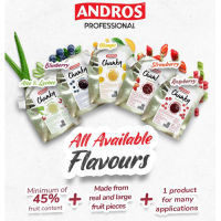 Andros Fruit Chunky ส่วนผสมเครื่องและของหวาน