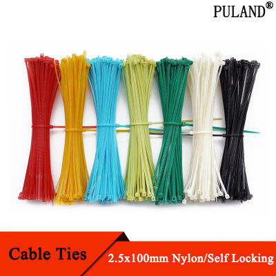 100 ชิ้น Self Locking Nylon Cable Ties 2.5x100 มิลลิเมตรพลาสติก Zip Tie Band Wire Binding Wrap สายรัด DIY สายยึด Organizer-Yrrey