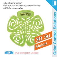 WALEX Bravo Urinal Screens - Melon - แผ่นดับกลิ่นปัสสาวะเป็นเวลายาวถึง 30 วัน