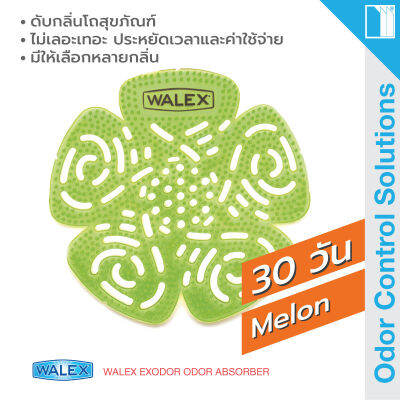 WALEX Bravo Urinal Screens - Melon - แผ่นดับกลิ่นปัสสาวะเป็นเวลายาวถึง 30 วัน