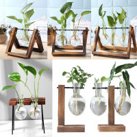 Frame Glass Vase Tabletop Terrarium Hydroponics Plant Vases Bonsai Transparent Flower Pot with Wooden Tray Home Decor