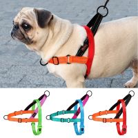 Nylon Padded Dog Harness Adjustable Soft Pet Vest Harness Colorful Outdoor No Pull French Bulldog Chihuahua Harness Vest Perro Leashes