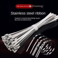 304 Stainless Steel Ribbon Self-Locking 4.6mm Outdoor Ratchet Tie down Marine Buckle Large Cable Tie Fixed Bundle Cable Management