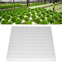 100Pcs Hydroponic Planting Sponge ฟองน้ำปลูกเครื่องมือทำสวนสแควร์ต้นกล้าฟองน้ำสำหรับเรือนกระจก