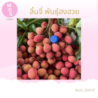 ลิ้นจี่พันธุ์ (荔枝 lizhi) ฮงฮวย ราคาต่อกิโล เก็บสดจากสวนทุกวัน ลูกใหญ่รสชาติหวาน อร่อย