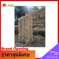 Uland ฟางข้าว ฟางอัดก้อน 9 กิโลกรัม สำหรับนั่งเล่น ฟางแห้ง ฟางคุณภาพดี เพาะเห็ด อาหารสัตว์ คลุมพืช คลุมหน้าดิน ฟางข้าวคุณภาพดี