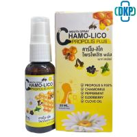 สเปรย์พ่นคอ Chamo lico propolis plus mouth spray คาร์โม ลิโค โพรโพลิซ พลัส สูตร ปราศจากน้ำตาล 20 ml. [DkP]