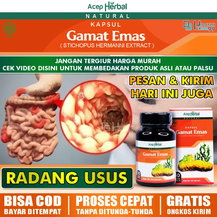 Obat Infeksi Usus Alami Herbal Luka Usus Kanker Usus Radang Usus Buntu