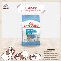 Royal Canin อาหารสุนัข Mini Starter Mother &amp; Babydog ชนิดเม็ด สำหรับแม่และลูกสุนัขพันธุ์เล็ก ขนาด (1kg./3kg./8.5kg.) (MNIKS)