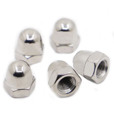 DIN1587 304 Stainless Steel Hex Cap Nut Domed Nuts For Decrotive M3 M4 M5 M6 M8 M10 M12 M14 M16
