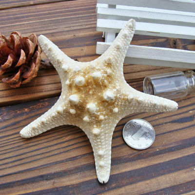 5/25/50 pcs Flat Dried Starfish DIY Crafts Mini Sea Shells Ornaments Nautical Decor