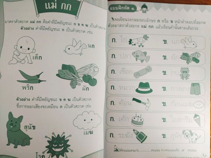 หนังสือเด็ก-เสริมทักษะภาษาไทย-เด็กปฐมวัย-ชุด-ภาษาพาเพลิน-ไปกับ-มาตราตัวสะกด-ภาษาไทย-ป-๑